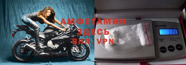 шишки Корсаков