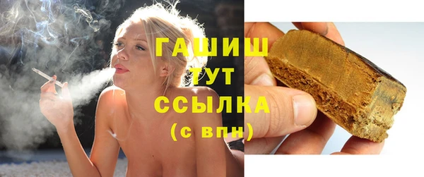 шишки Корсаков