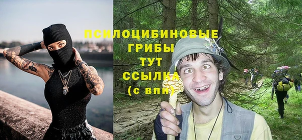 шишки Корсаков
