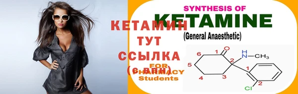 шишки Корсаков